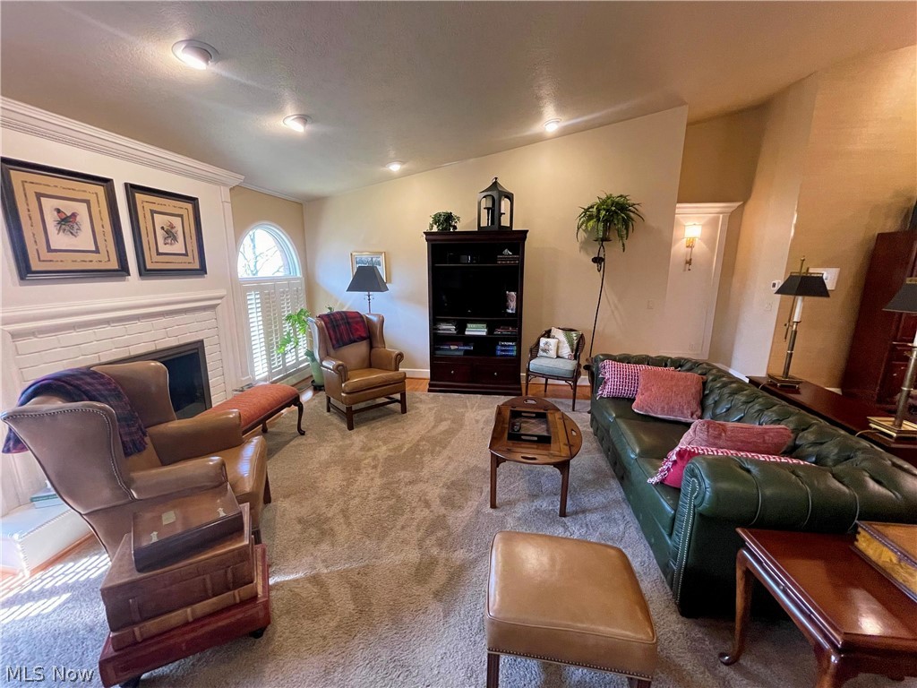 3731 Mercedes Place Canfield OH 44406
