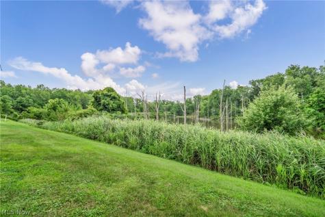 309 Lake Breeze Cove Eastlake OH 44095