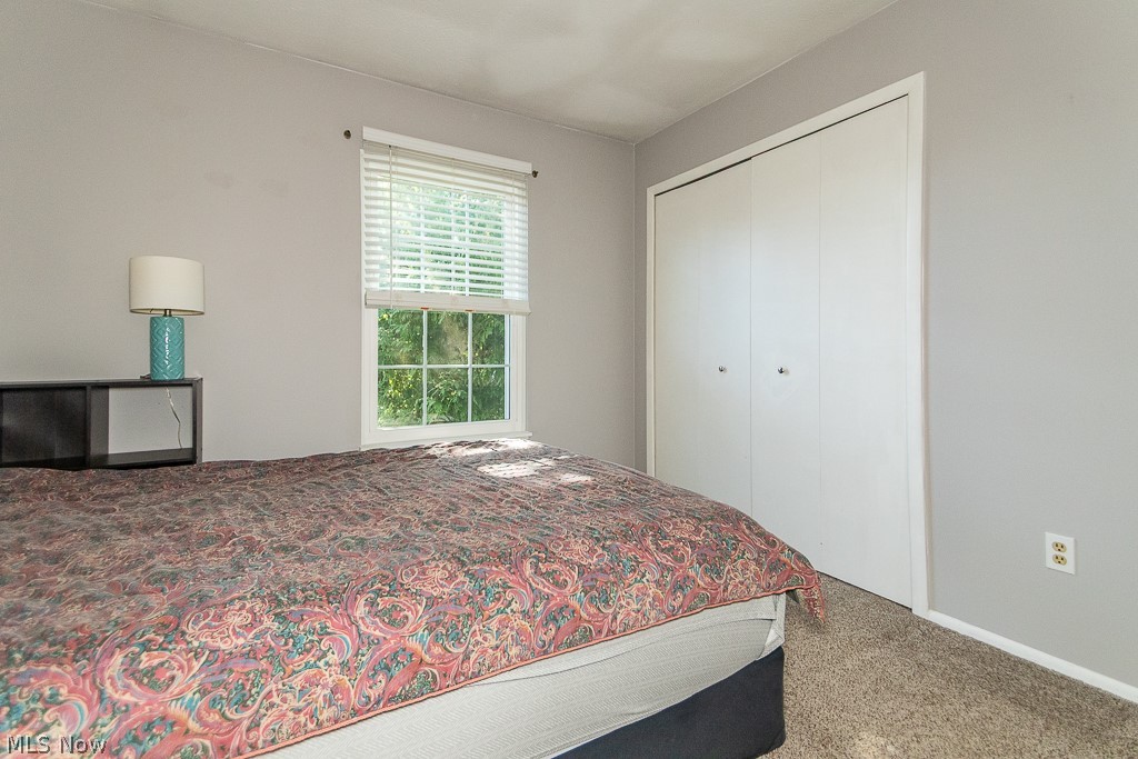 6813 Colonial Drive Mentor OH 44060
