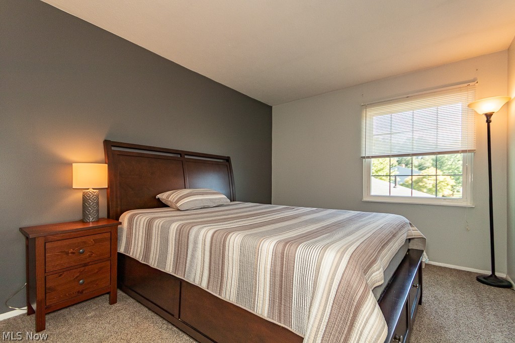 6813 Colonial Drive Mentor OH 44060
