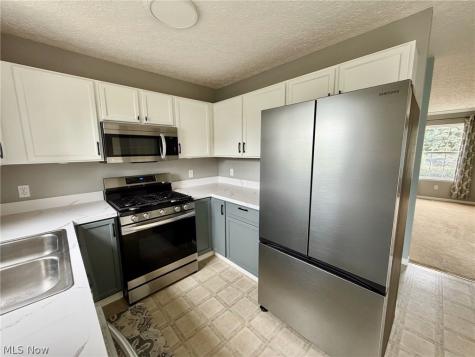 967 Penn Place Painesville OH 44077