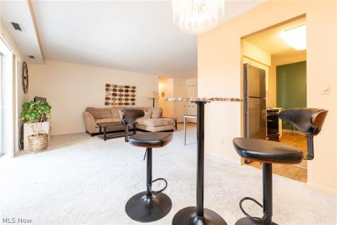 2112 Acacia Park Drive Lyndhurst OH 44124