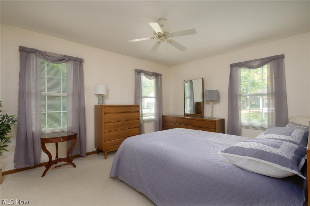 6036 Weymouth Drive Mentor OH 44060
