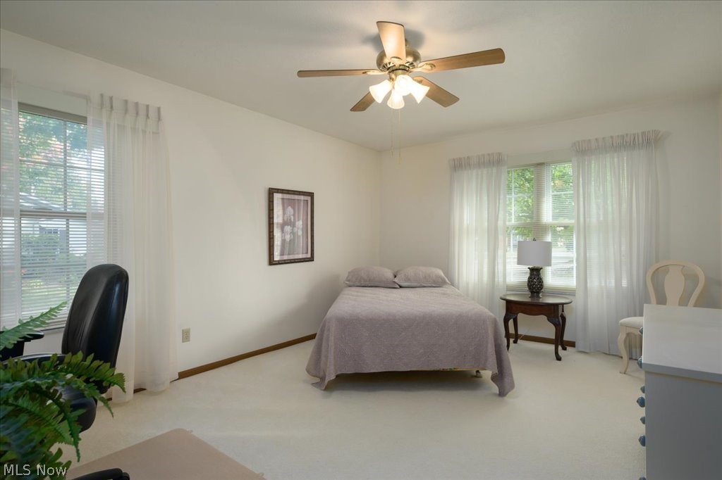6036 Weymouth Drive Mentor OH 44060