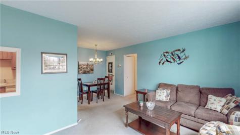 2736 Pease Drive Rocky River OH 44116