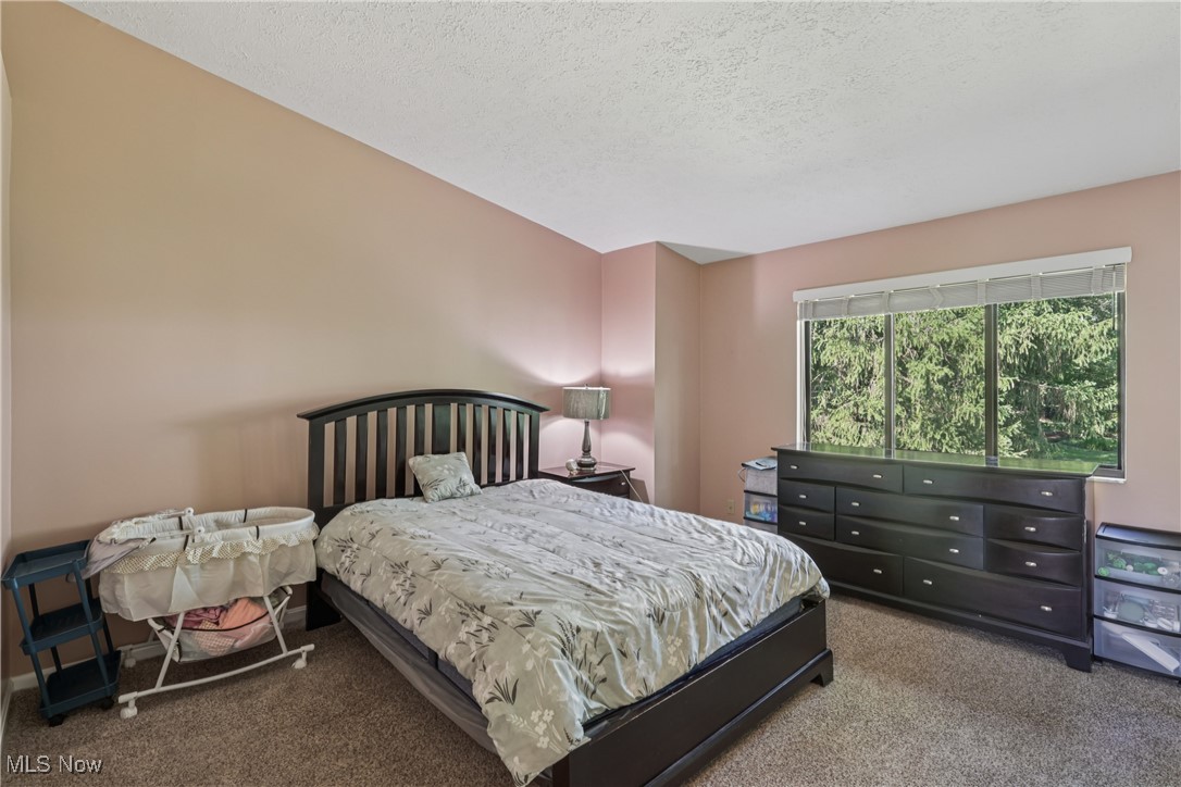 804 Arboretum Circle Northfield OH 44067