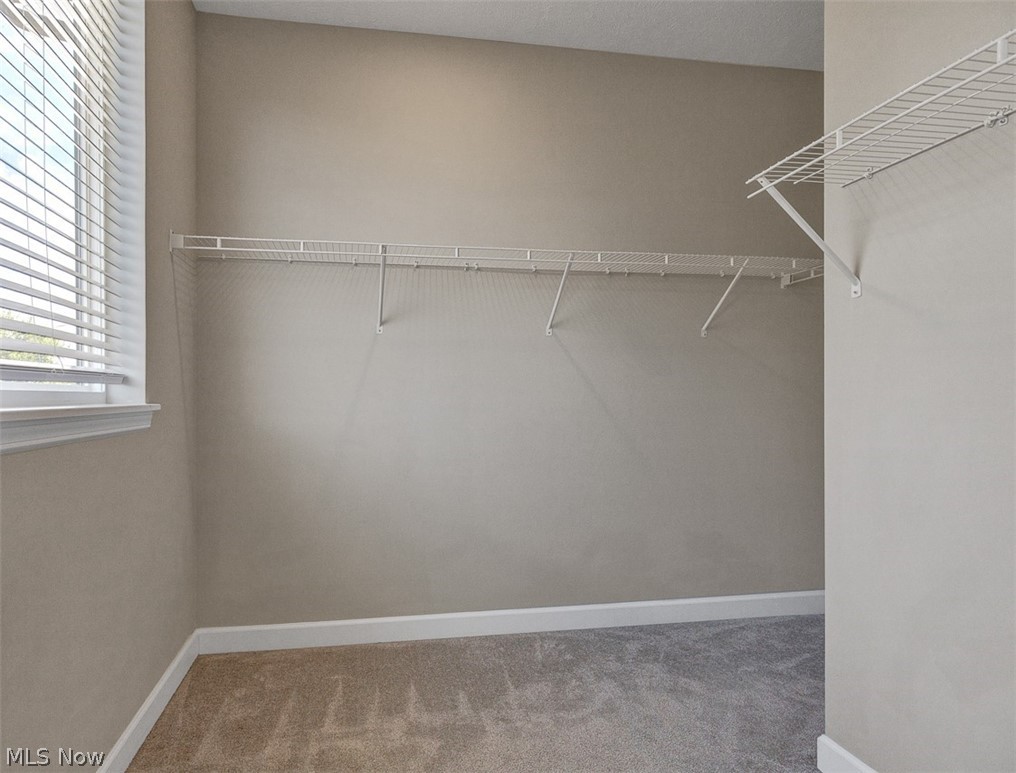 3601 Bailey Avenue Cleveland OH 44113