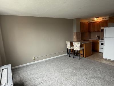 11850 Edgewater Drive Lakewood OH 44107