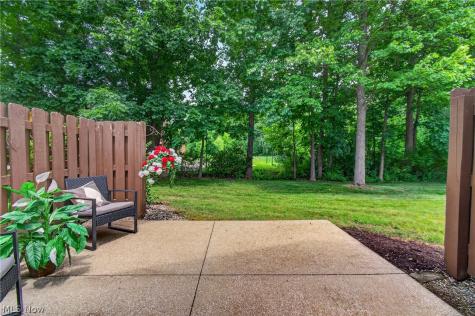 2793 Tinkers Lane Twinsburg OH 44087