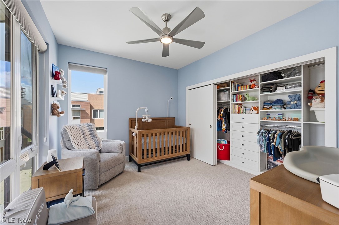 7317 Catlin Court Cleveland OH 44102