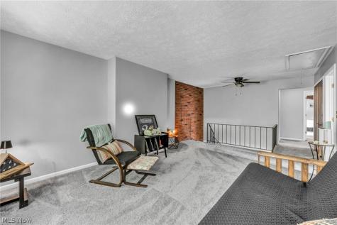 7444 Millrace Lane Sagamore Hills OH 44067