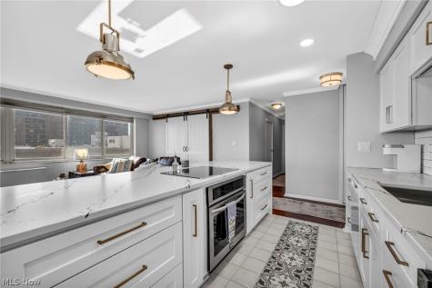 12520 Edgewater Drive Lakewood OH 44107
