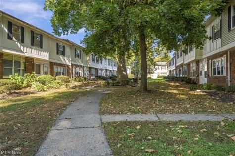 762 Mentor Avenue Painesville OH 44077