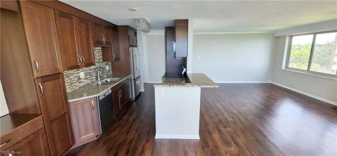 12520 Edgewater Drive Lakewood OH 44107