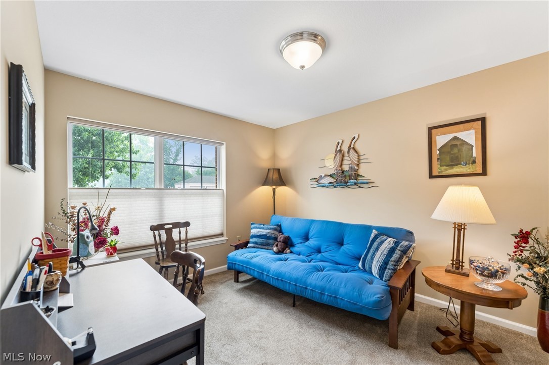 23002 Chandlers Lane Olmsted Falls OH 44138