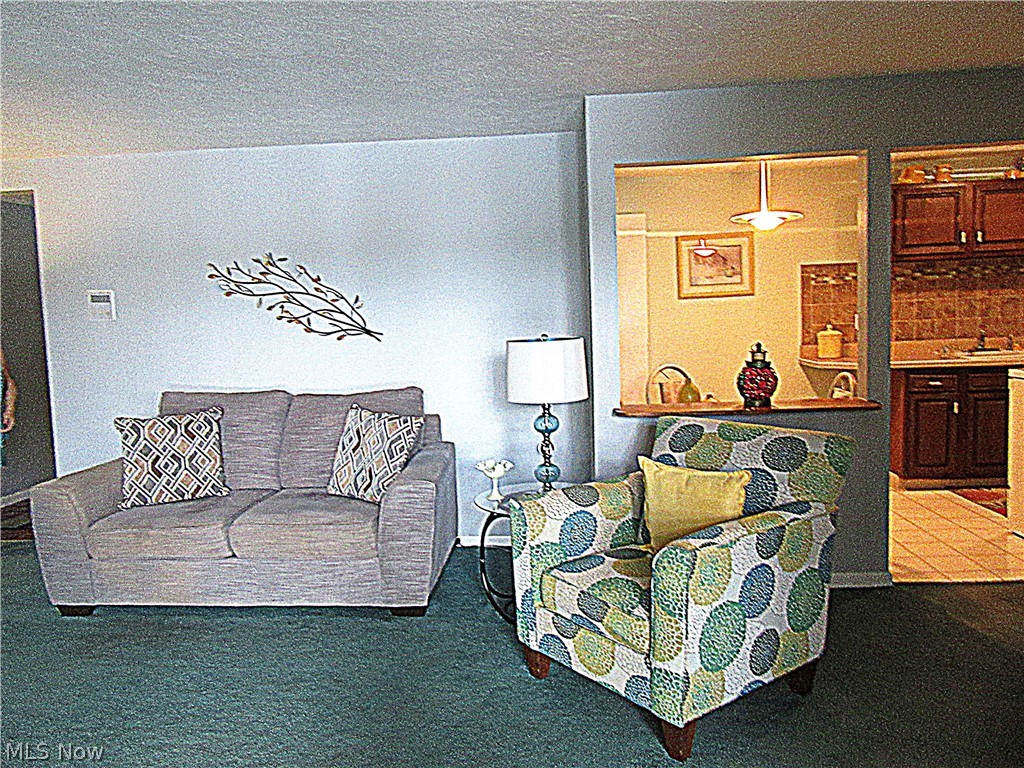 9660 Cove Drive North Royalton OH 44133