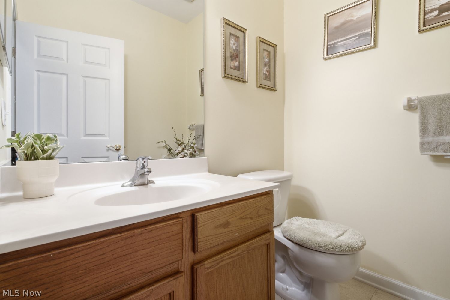 870 Tara Drive Aurora OH 44202