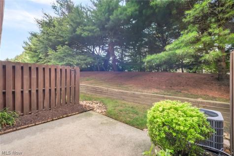 246 Steeple Chase Run Northfield OH 44067