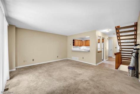 246 Steeple Chase Run Northfield OH 44067
