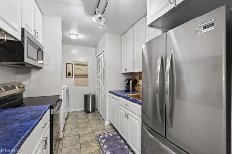 7972 Colonial Drive Mentor OH 44060