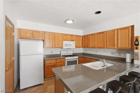 23135 Grist Mill Court Olmsted Falls OH 44138