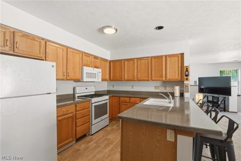 23135 Grist Mill Court Olmsted Falls OH 44138