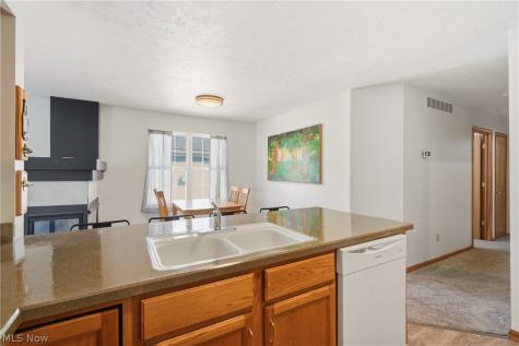 23135 Grist Mill Court Olmsted Falls OH 44138