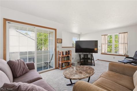 23135 Grist Mill Court Olmsted Falls OH 44138