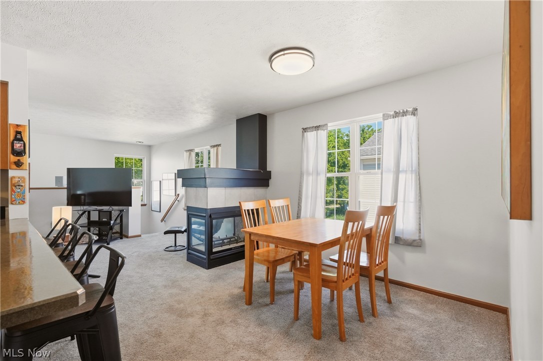 23135 Grist Mill Court Olmsted Falls OH 44138