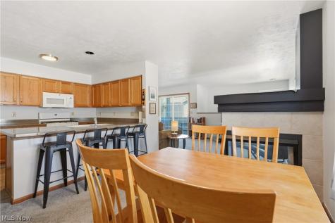 23135 Grist Mill Court Olmsted Falls OH 44138
