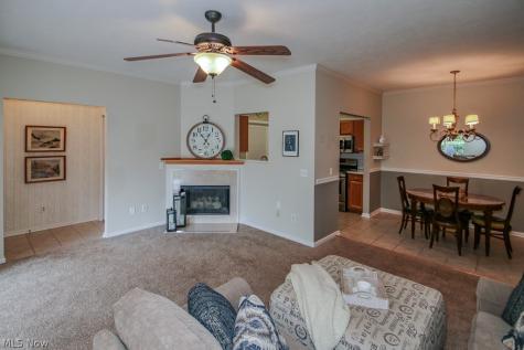 9683 Sylvan Lane Mentor OH 44060