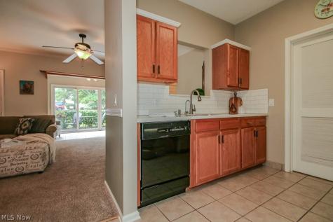 9683 Sylvan Lane Mentor OH 44060
