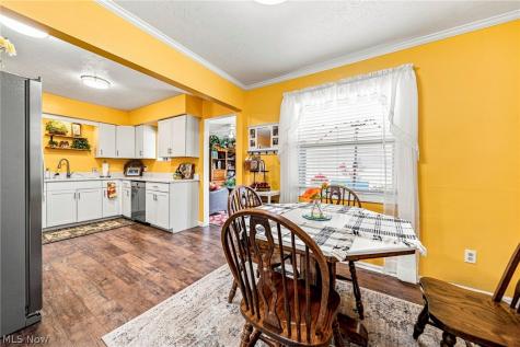 9 Meadowlawn Drive Mentor OH 44060