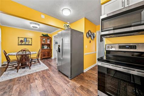 9 Meadowlawn Drive Mentor OH 44060