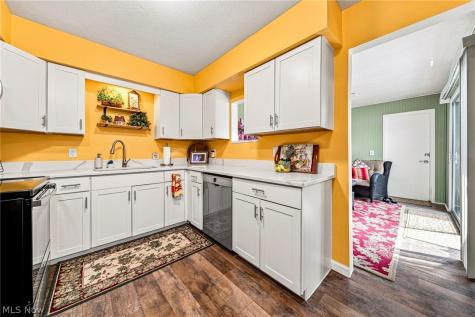 9 Meadowlawn Drive Mentor OH 44060