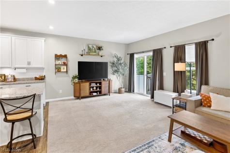 1195 Meadow Run Copley OH 44321