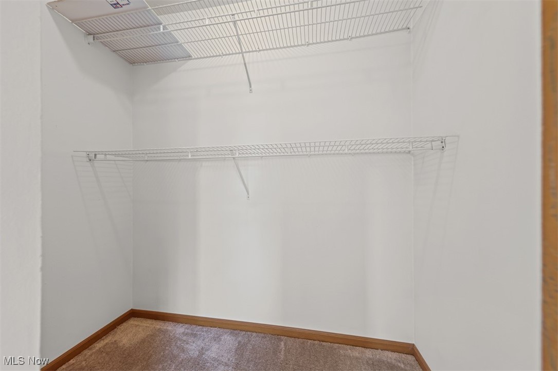 6729 Tippecanoe Road Canfield OH 44406