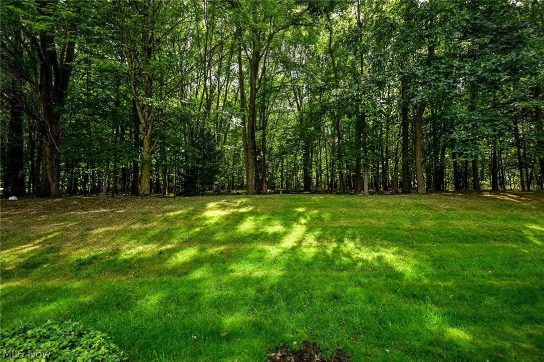 2942 Heatherwood Court Stow OH 44224