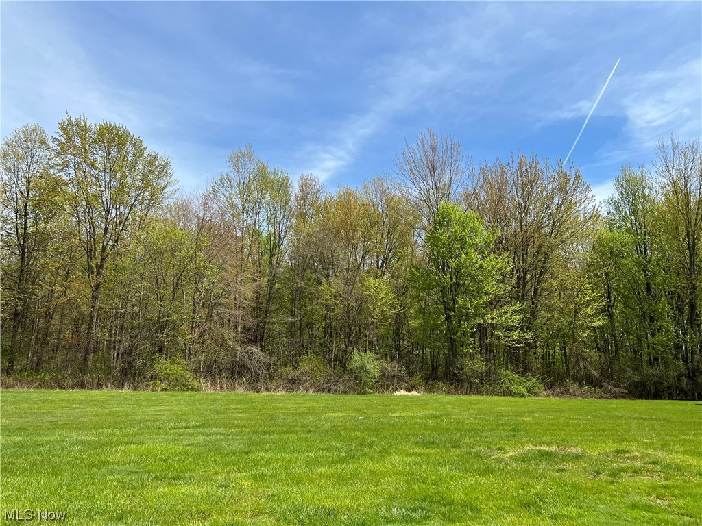 29A Willow Woods Drive North Olmsted OH 44070