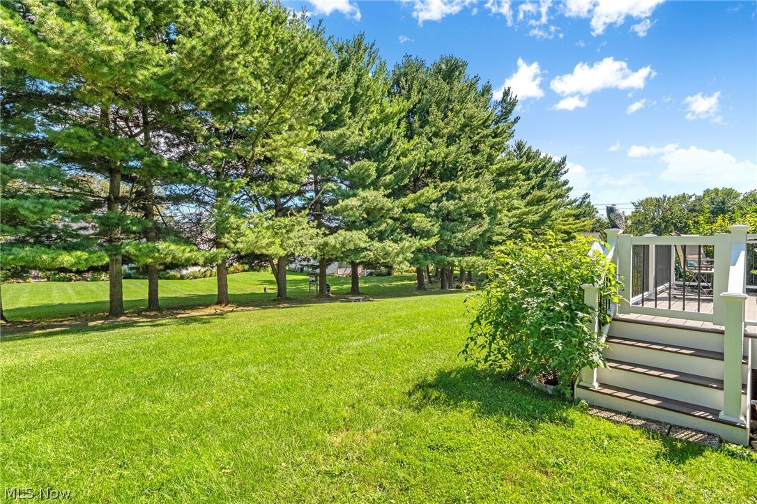 10412 Scotney Avenue North Canton OH 44720