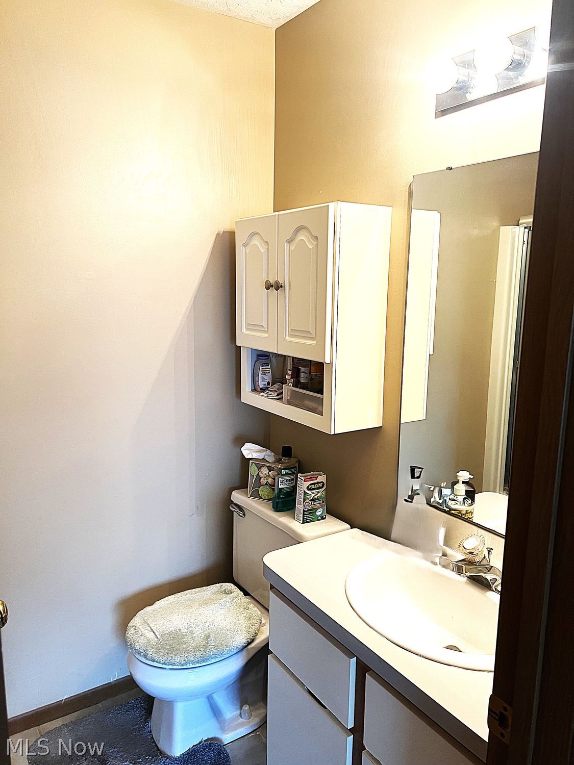 8609 Scenicview Drive Broadview Heights OH 44147