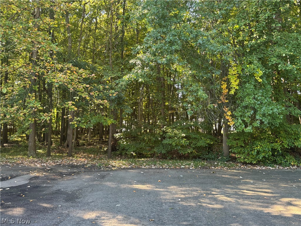 1331 Fox Run Drive Boardman OH 44512
