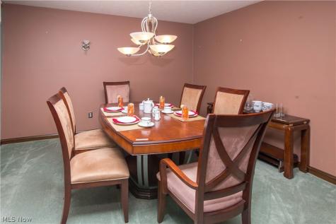 113 Olson Spur Munroe Falls OH 44262