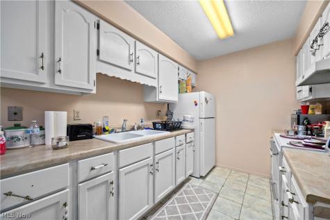 1315 S Lake Wilmer Drive Sandusky OH 44870