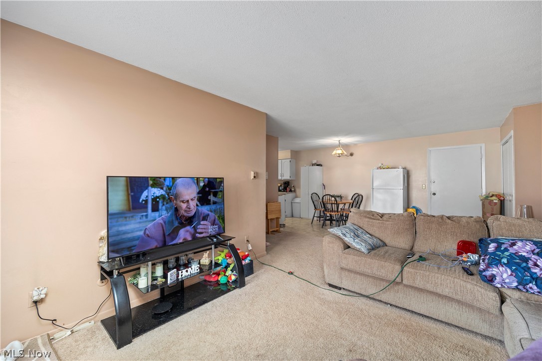 1315 S Lake Wilmer Drive Sandusky OH 44870