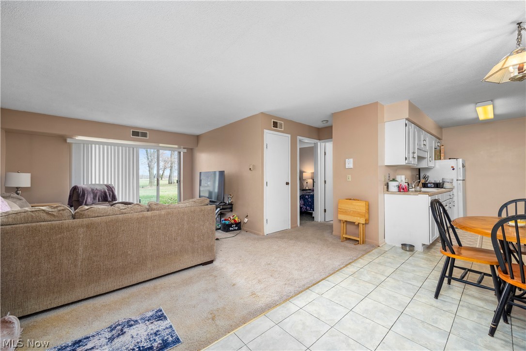 1315 S Lake Wilmer Drive Sandusky OH 44870