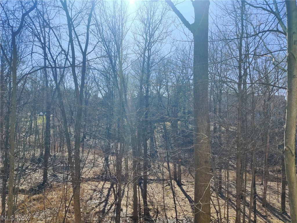 2104 Stoney Run Circle Broadview Heights OH 44147