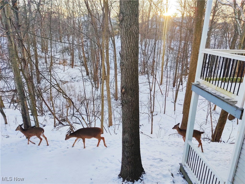 2104 Stoney Run Circle Broadview Heights OH 44147