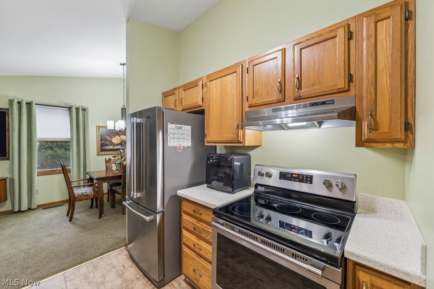 37060 N Doovys Street Avon OH 44011