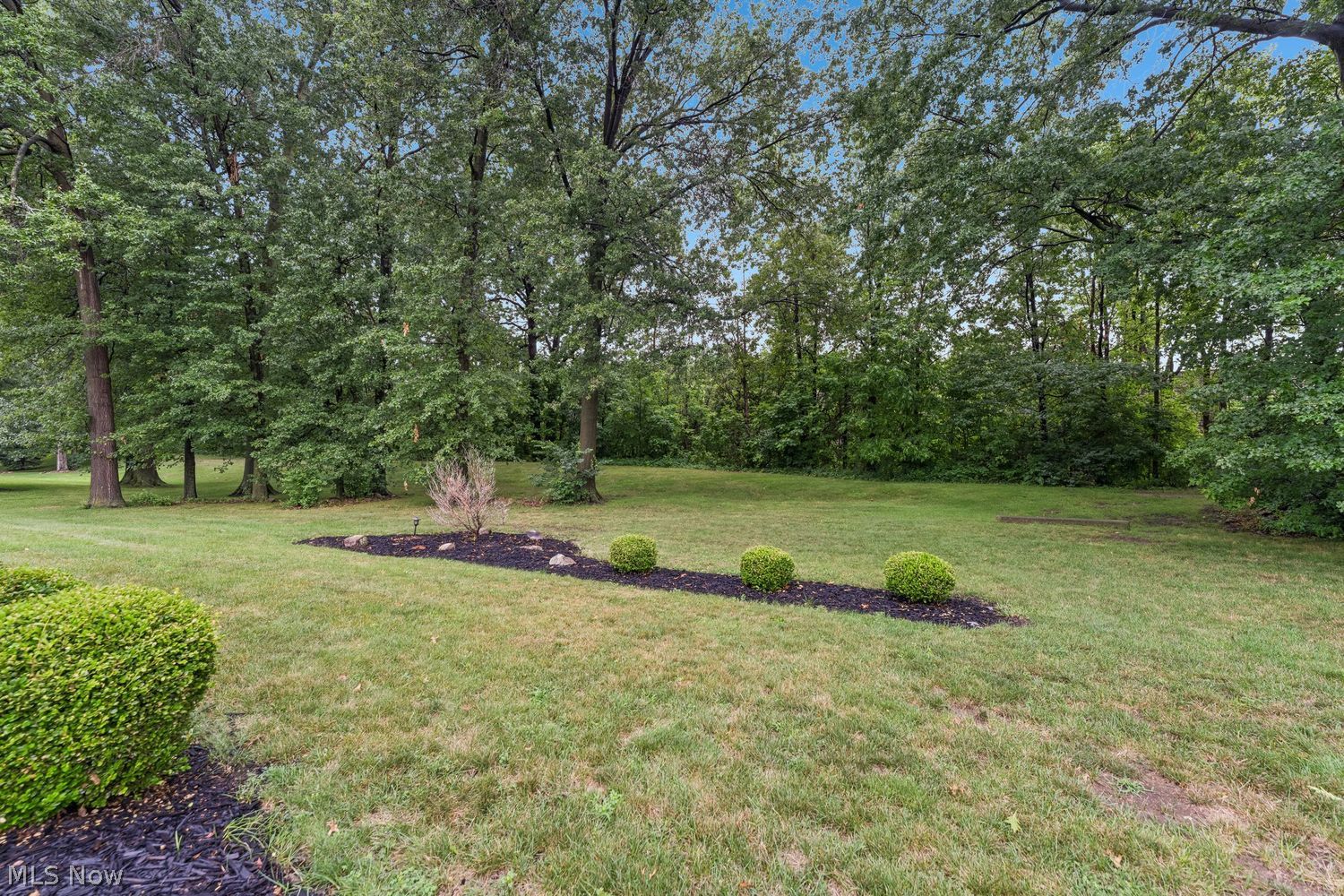37060 N Doovys Street Avon OH 44011